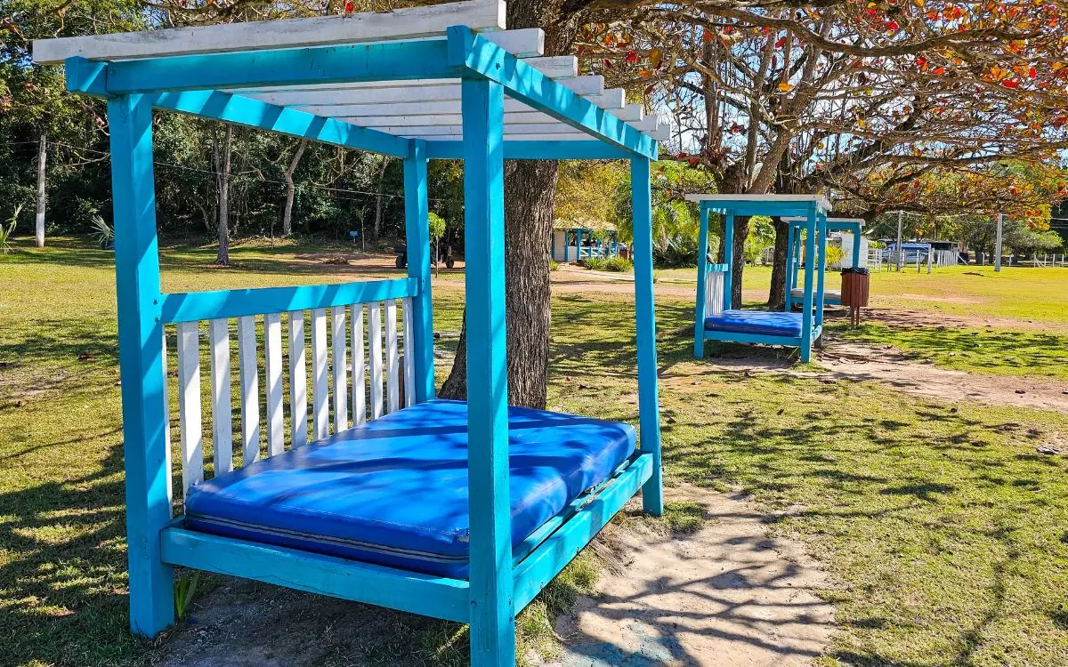 Bangalôs à sombra das árvores para a família descansar na Praia da Figueira