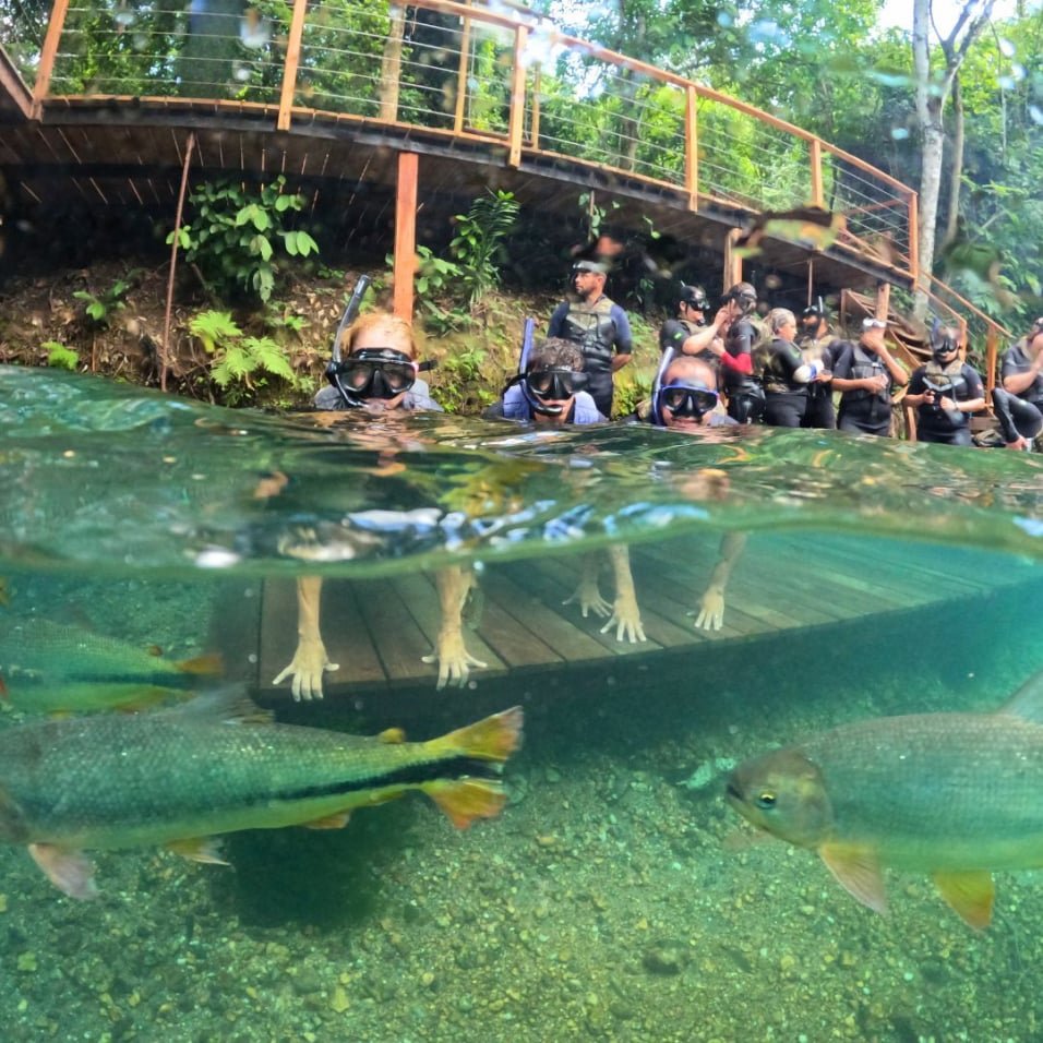 treinamento na flutuação da praia da figueira