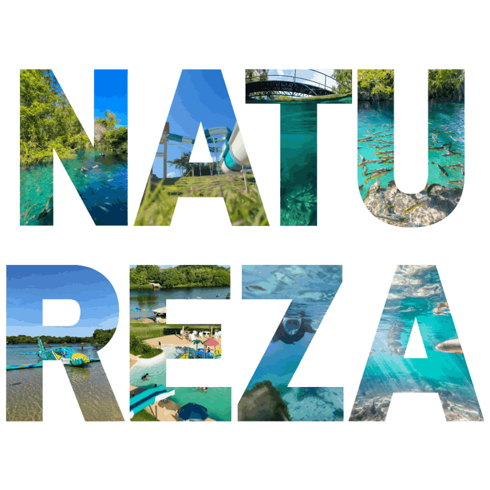 natureza na praia da figueira