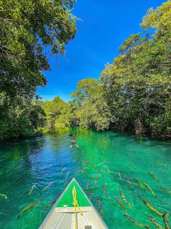 perguntas frequentes sobre a flutuação na praia