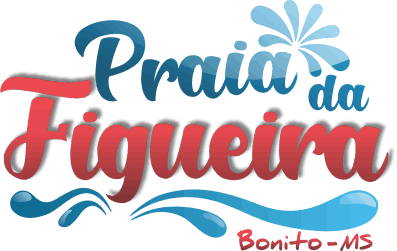 logo premium praia da figueira