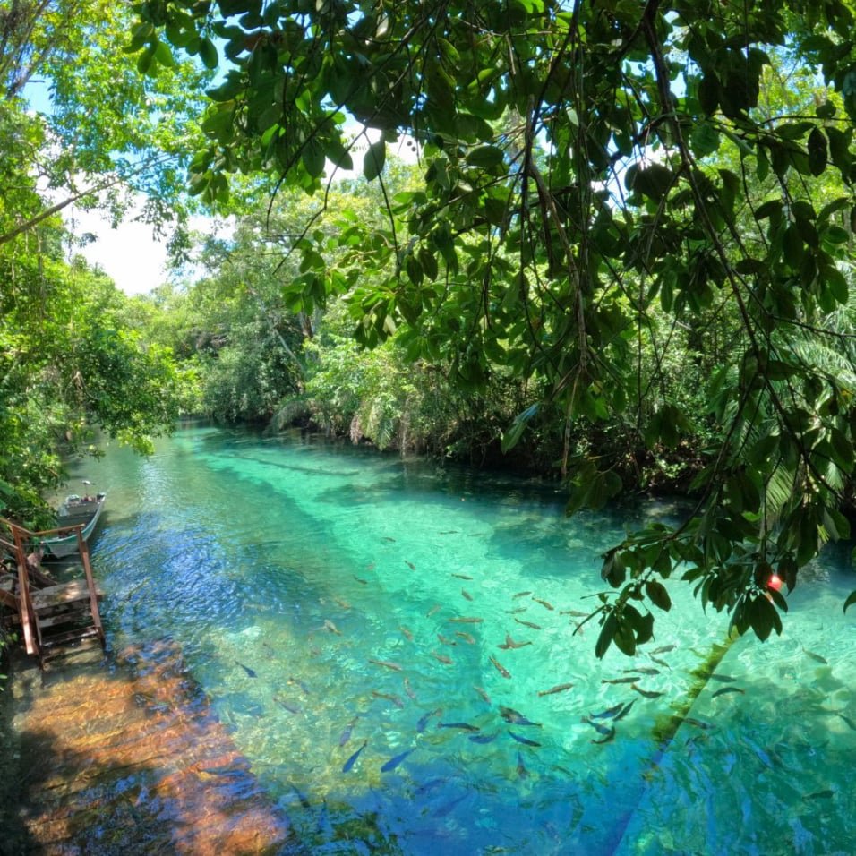 rio formoso na praia da figueira, flutuação em bonito ms